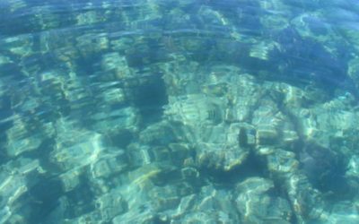 Fun On The Water In Key Largo